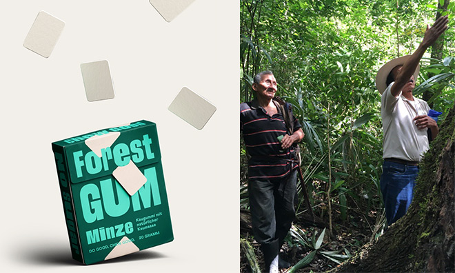 Forest Gum – Kaugummi ohne Plastik