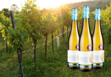 Wein des Monats April 2026