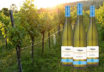 Wein des Monats Februar 2026