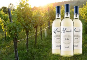 Wein des Monats März 2026